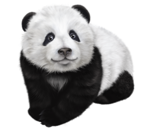 a big panda